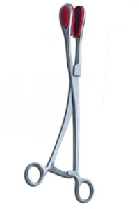 Bovine Cervical