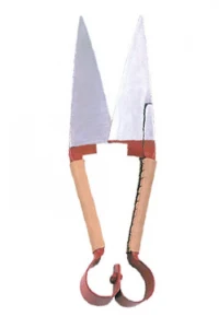 Sheap Shear